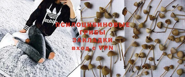 трава Михайловск