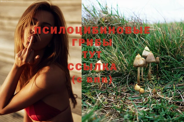 кристаллы Абинск