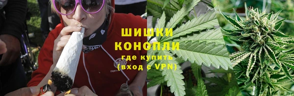 индика Абаза